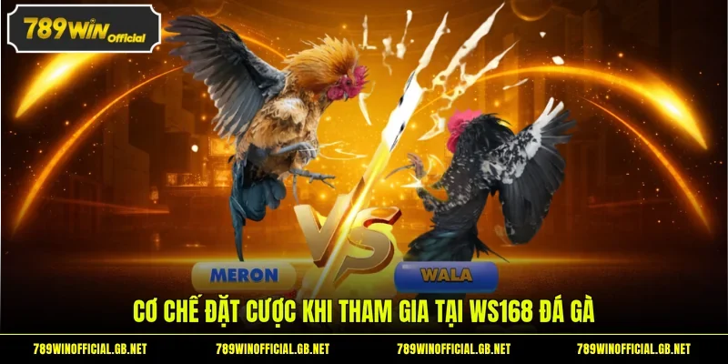 WS168 Đá Gà - Sảnh Chọi Kê Trực Tuyến Top 1 Tại 789WIN 3 Cơ chế đặt cược khi tham gia tại WS168 đá gà
