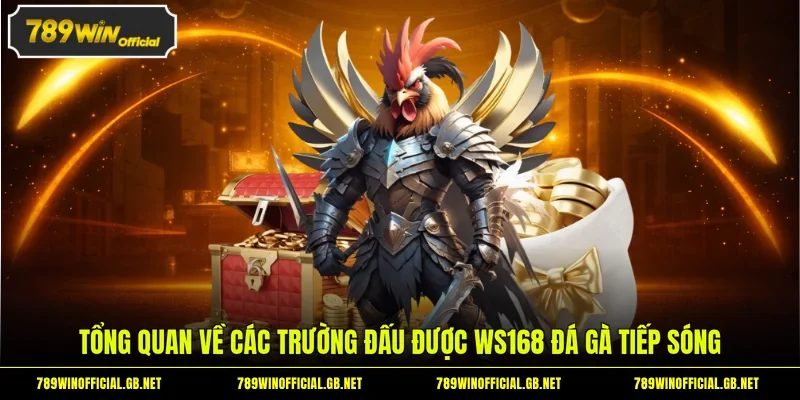 WS168 Đá Gà - Sảnh Chọi Kê Trực Tuyến Top 1 Tại 789WIN 1 Tổng quan về các trường đấu được WS168 đá gà tiếp sóng
